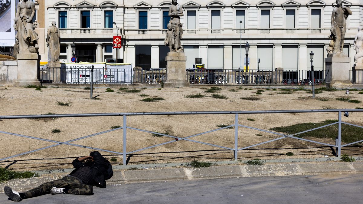 Fotky z vyprahlé Barcelony: Z parku je pustina, i holubi pijí z PET lahví